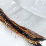 Krem për duart me kokos 30ml - Figura 3