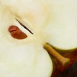 Krem trajtues “Famille BIO” 50ml - Figura 4