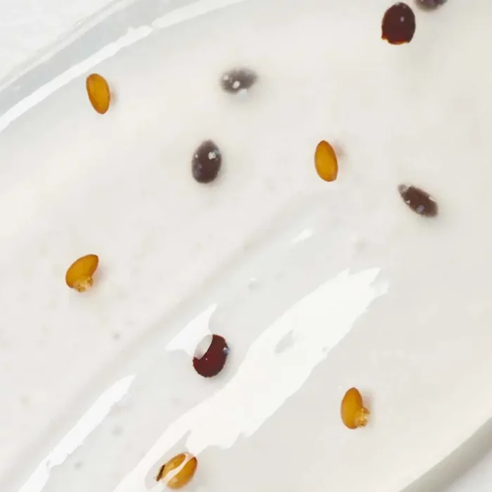 Skrab për trupin me mjedër dhe mente 150ml. - Figura 2