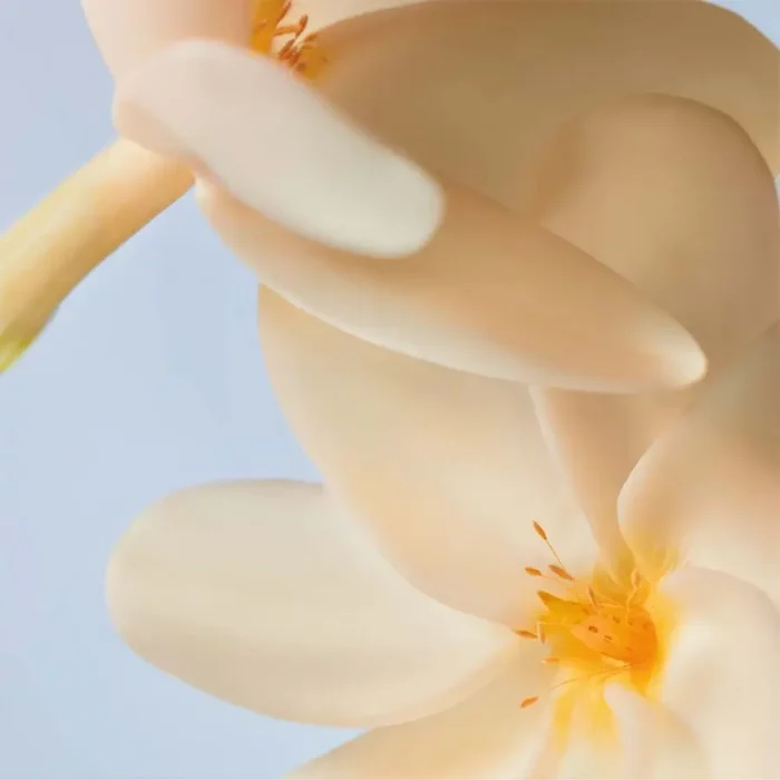 Shampo e koncentruar Monoi 100ml - Figura 3