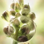 Locioni Anti Age Global 125ml - Figura 3