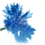 Maskara Metamorfozë Intense - Figura 5